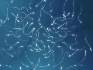 Espermiograma y análisis de semen