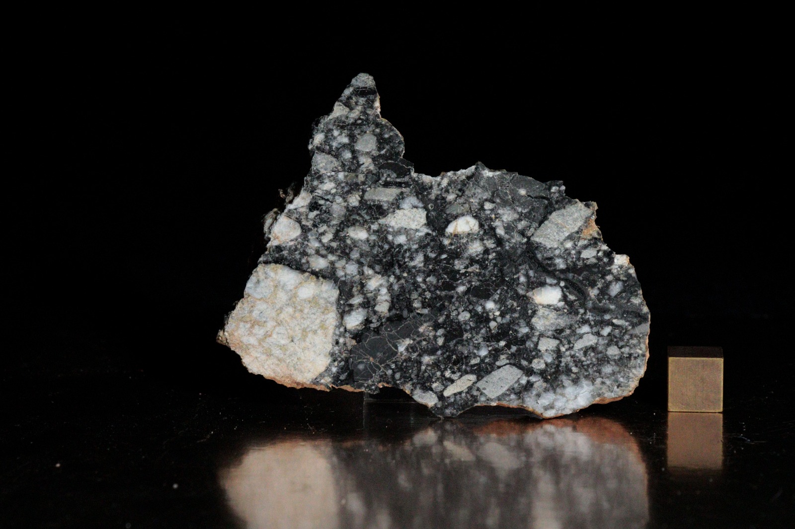 Asteroidal Gran Formato